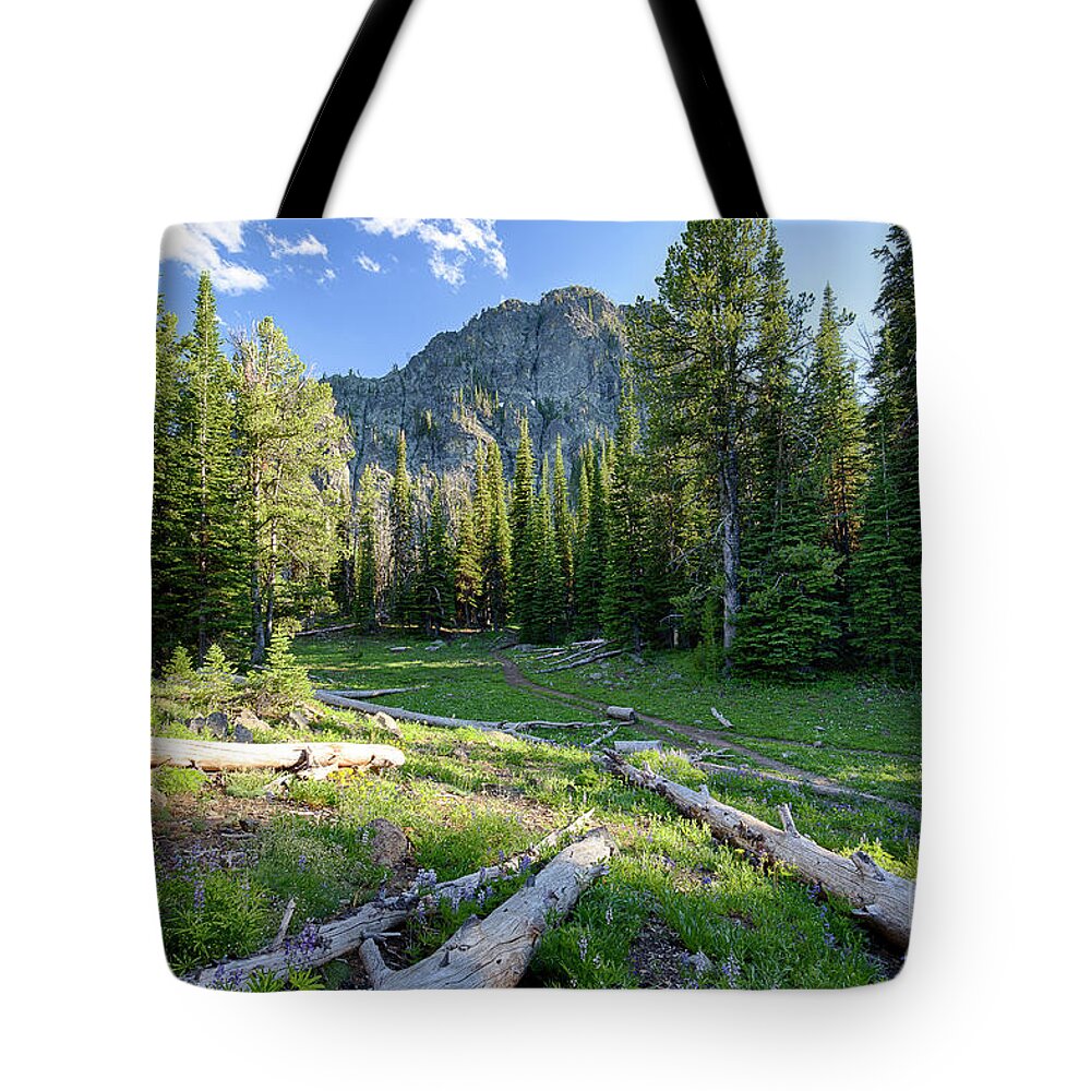 He Devil Tote Bag featuring the photograph Along the Trail by Idaho Scenic Images Linda Lantzy