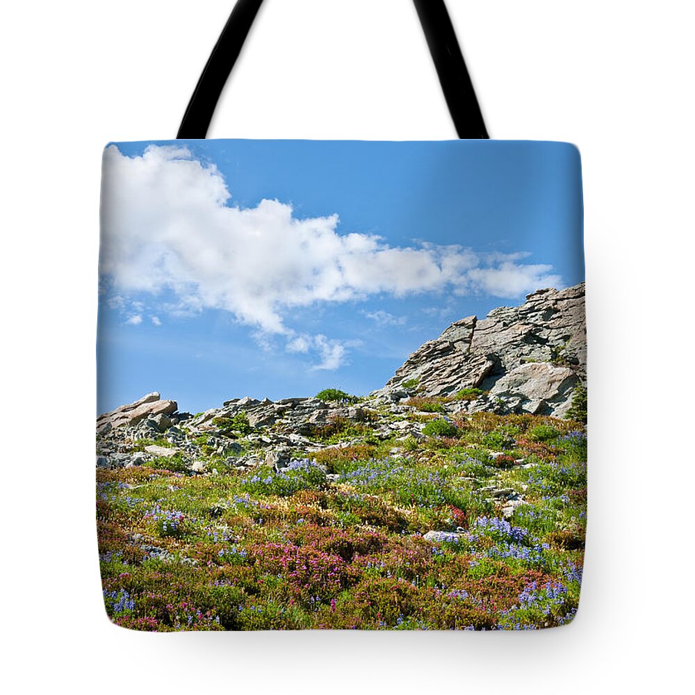 Alpine Tote Bag featuring the photograph Alpine Rock Garden by Jeff Goulden