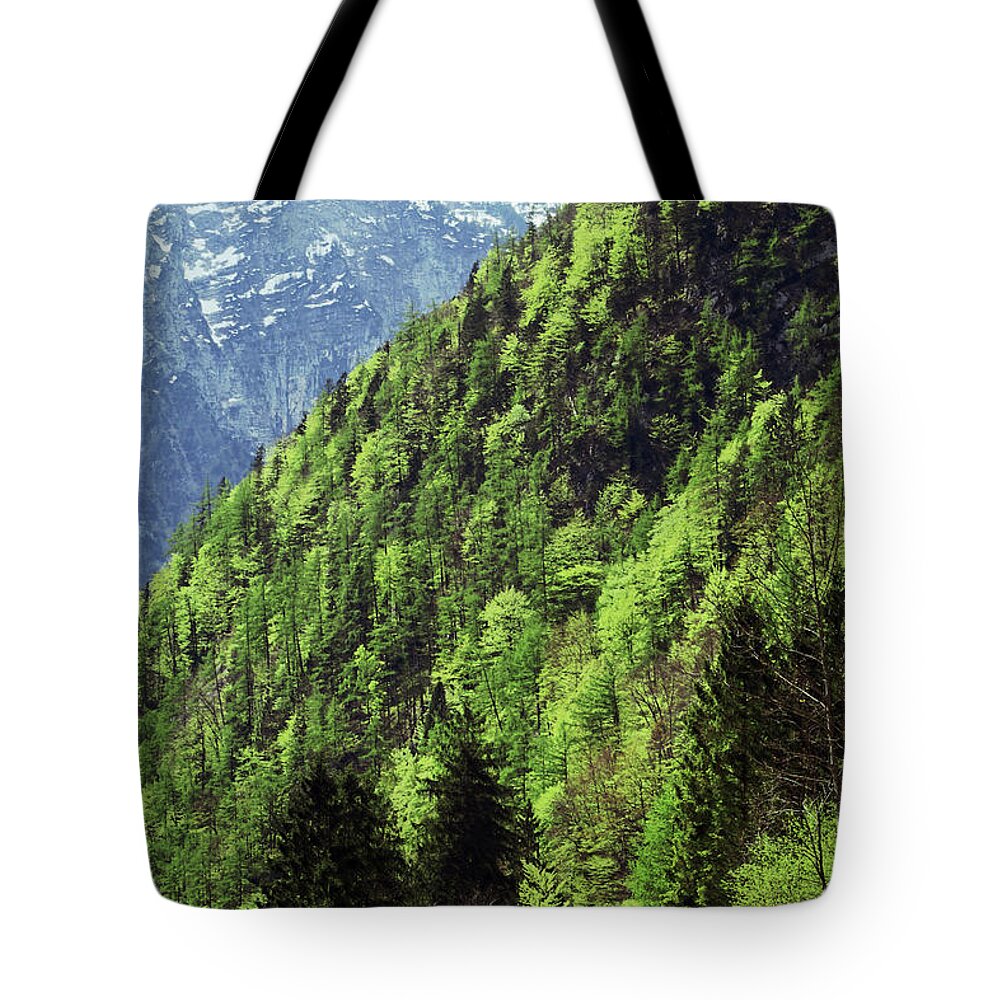 Austria Tote Bag featuring the photograph Alpine View in Green by Brooke T Ryan