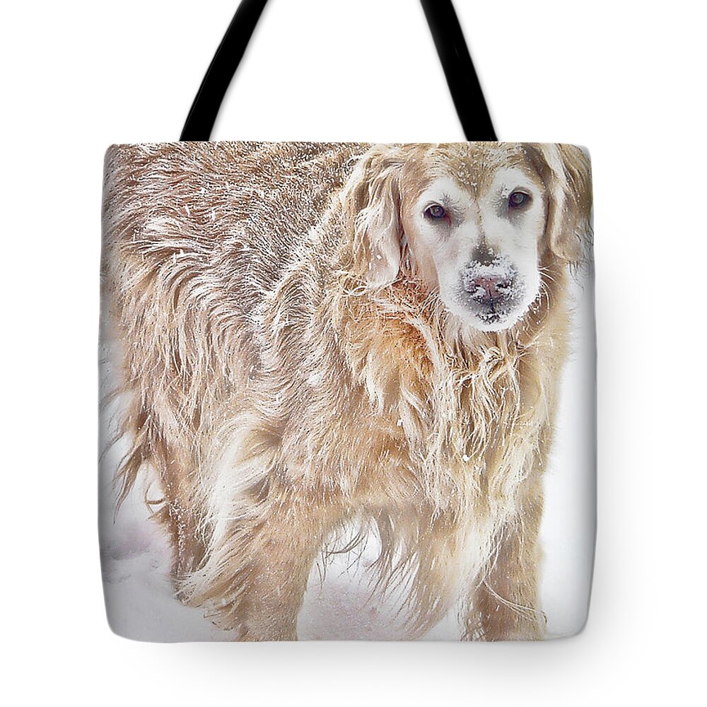 Pets Tote Bag featuring the photograph Always by Rhonda McDougall
