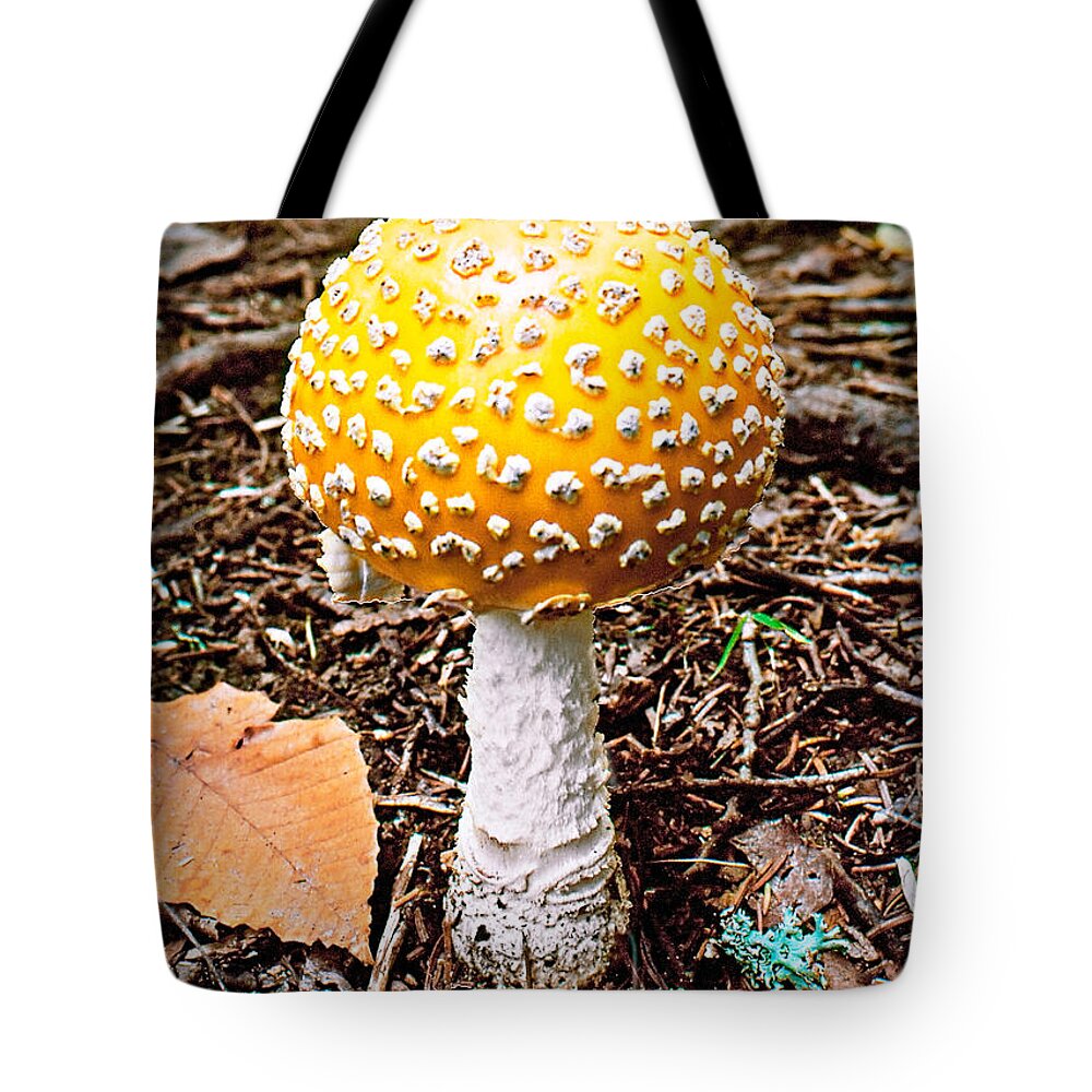 Mushroom Tote Bag featuring the photograph Amanita Mushroom Photo by Peter J Sucy