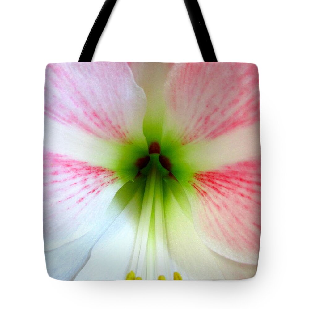 Amaryllis Tote Bag featuring the photograph Amaryllis 1 by Randall Weidner