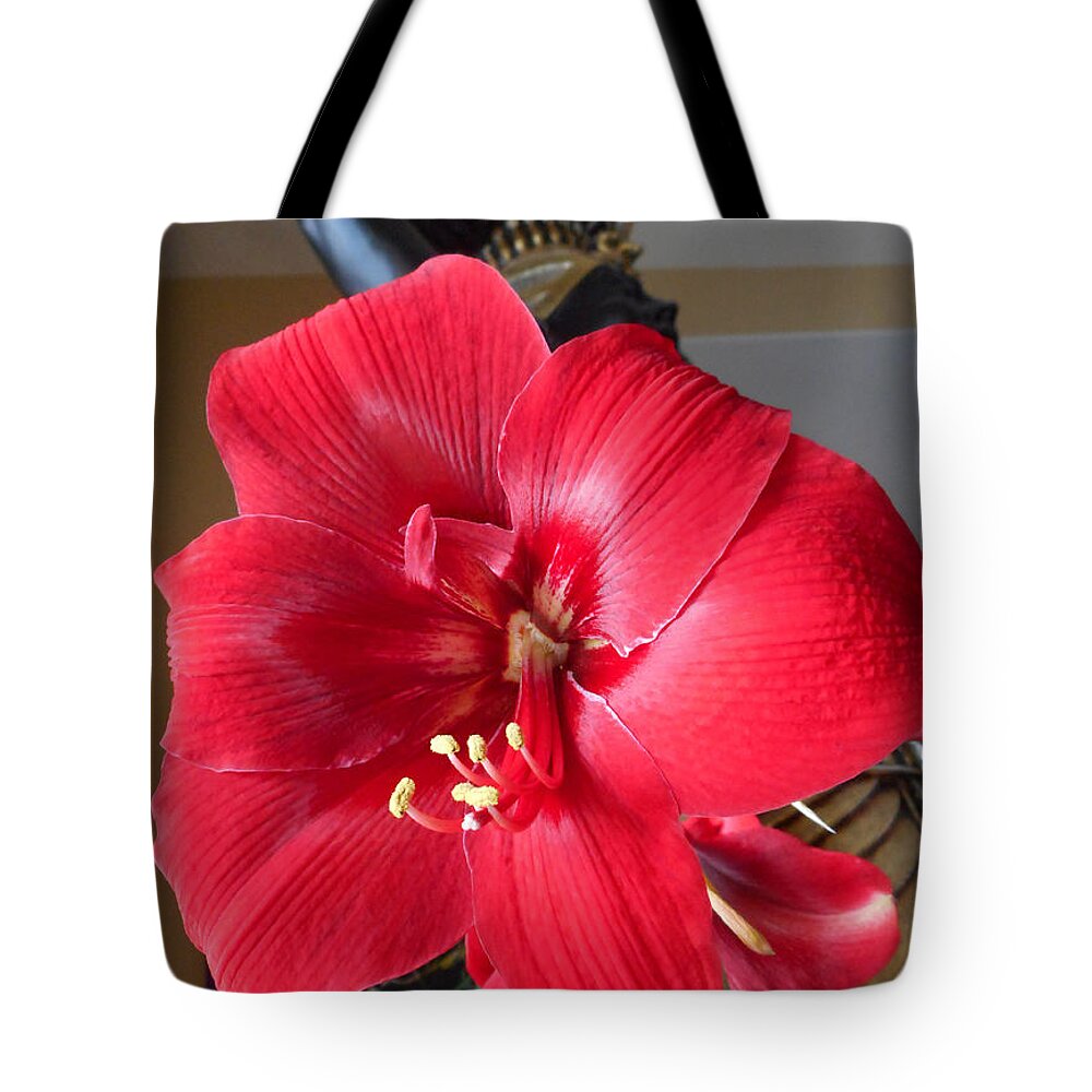 Flowers Tote Bag featuring the photograph Amaryllis 7 by Ron Kandt