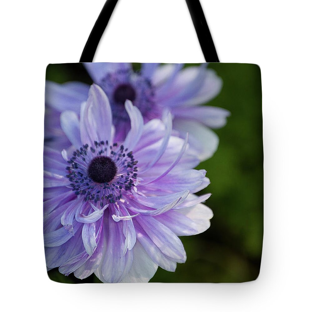 Purple Tote Bag featuring the photograph Amazing Purple by Trish Tritz