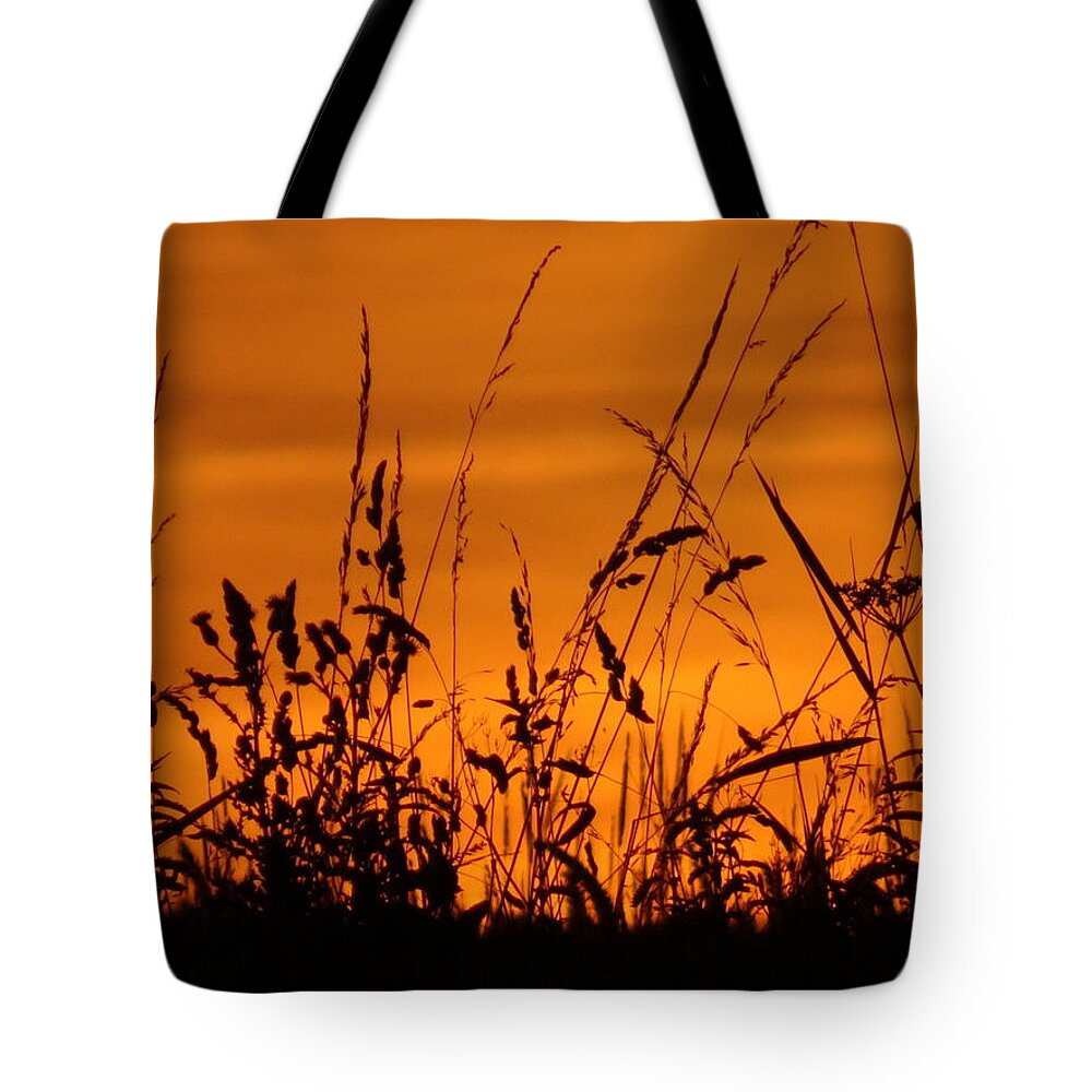 Sunset Tote Bag featuring the photograph Amber sundown meadow grass silhouette by Susan Baker