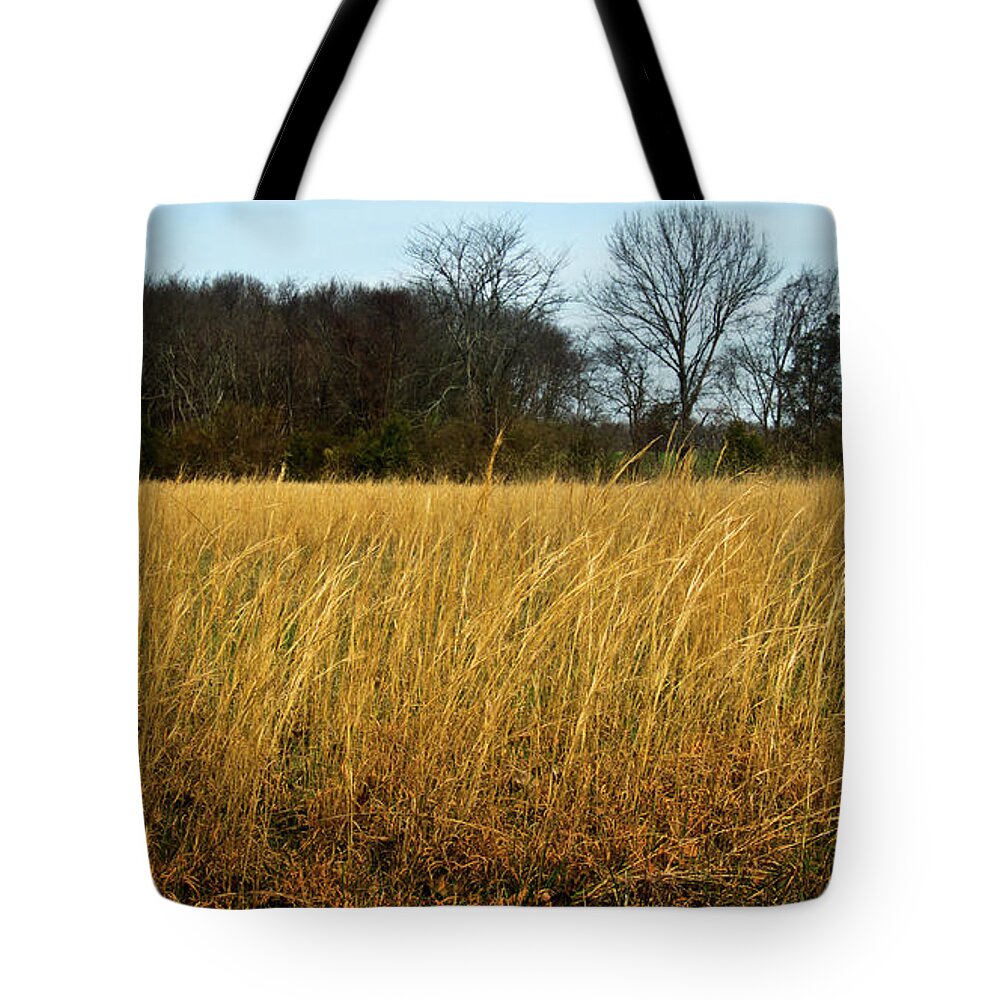 Grain Tote Bag featuring the photograph Amber Waves of Grain by George Taylor