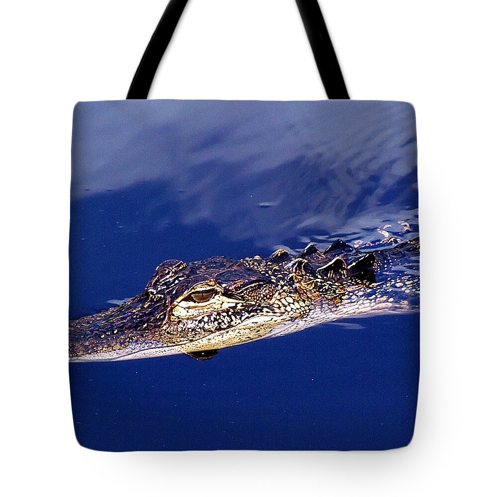 Animals Tote Bag featuring the photograph American Alligator 014 by Christopher Mercer