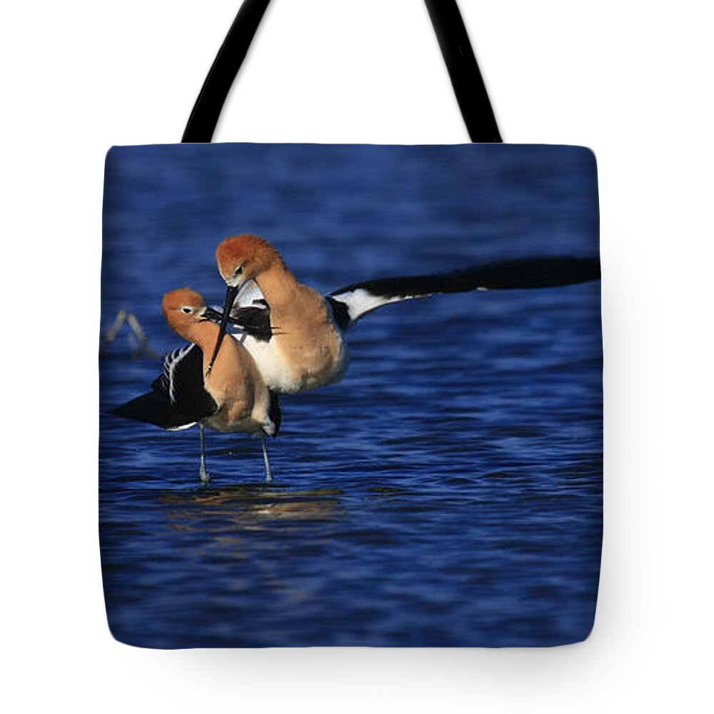 Birds Tote Bag featuring the photograph Courtship Cross by John F Tsumas