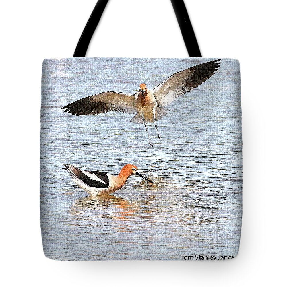 American Avocets Tote Bag featuring the photograph American Avocets by Tom Janca