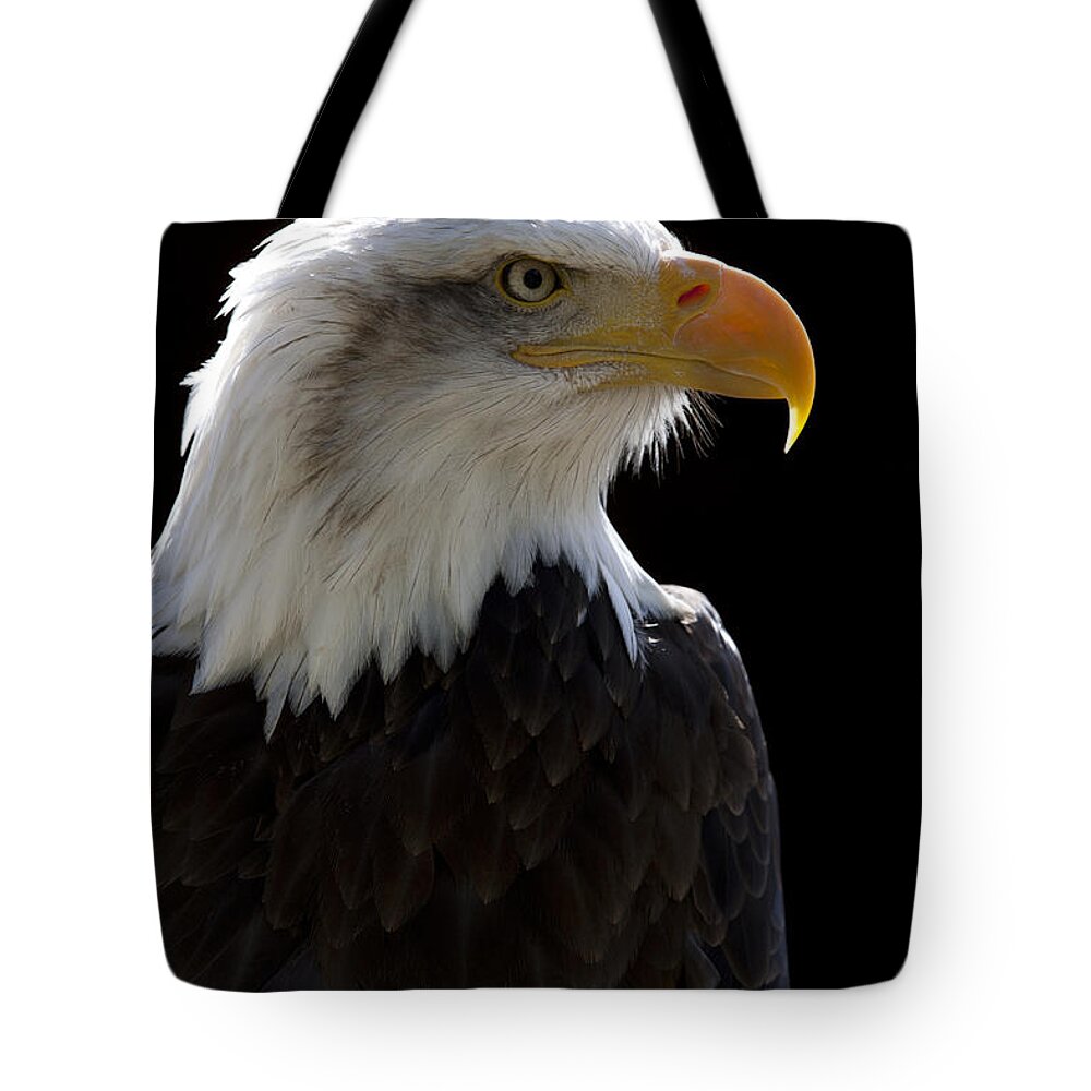 North American Bald Eagle Tote Bag featuring the photograph American Bald Eagle by Andy Myatt