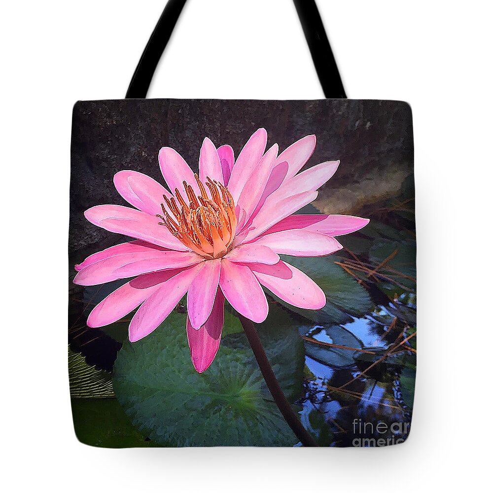 St. Augustine Tote Bag featuring the photograph Full Bloom by LeeAnn Kendall