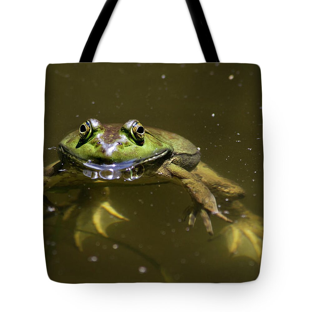 Frog Tote Bag featuring the photograph American Bullfrog by Christina Rollo