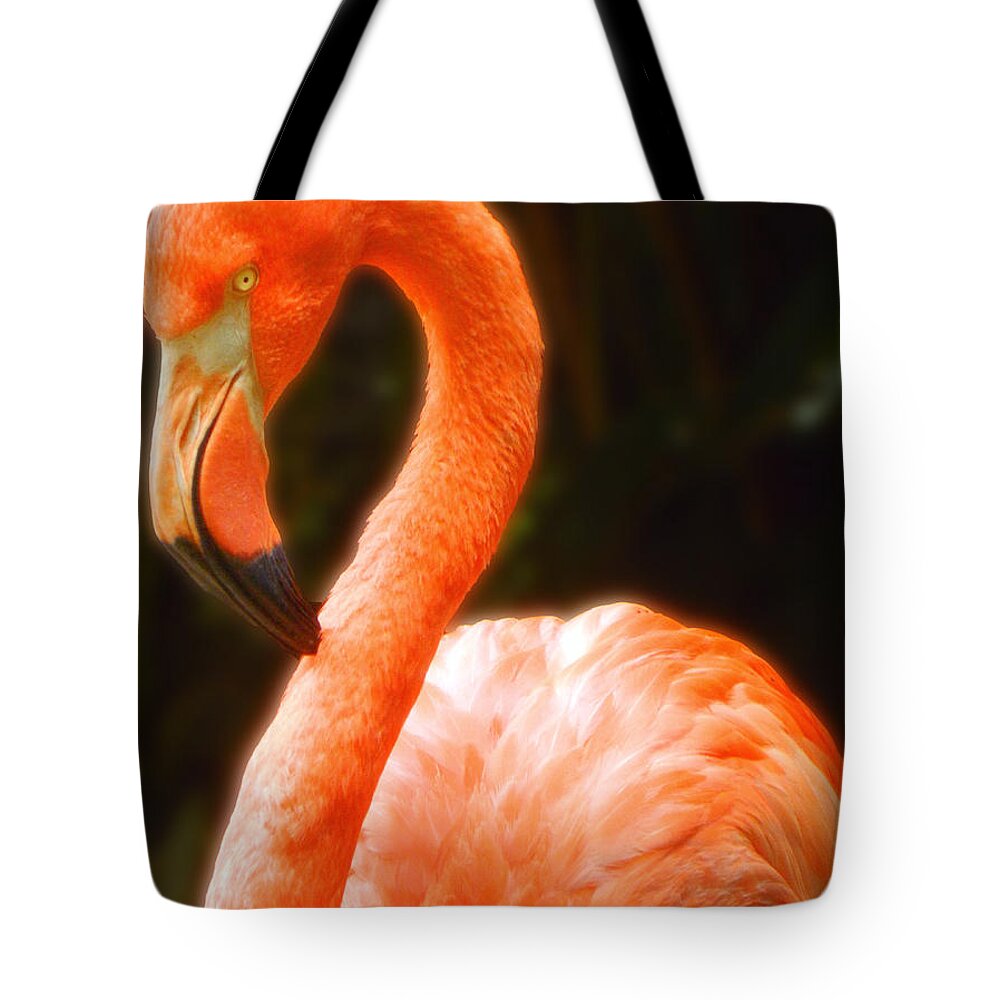 American Flamingo Tote Bag featuring the photograph American Flamingo by Emmy Vickers