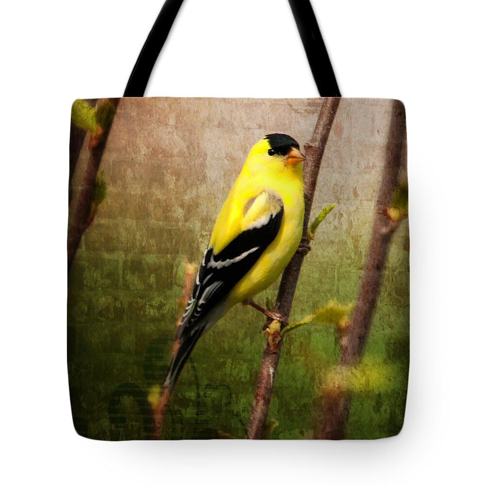 American Goldfinch Tote Bag featuring the photograph American Goldfinch by Al Mueller