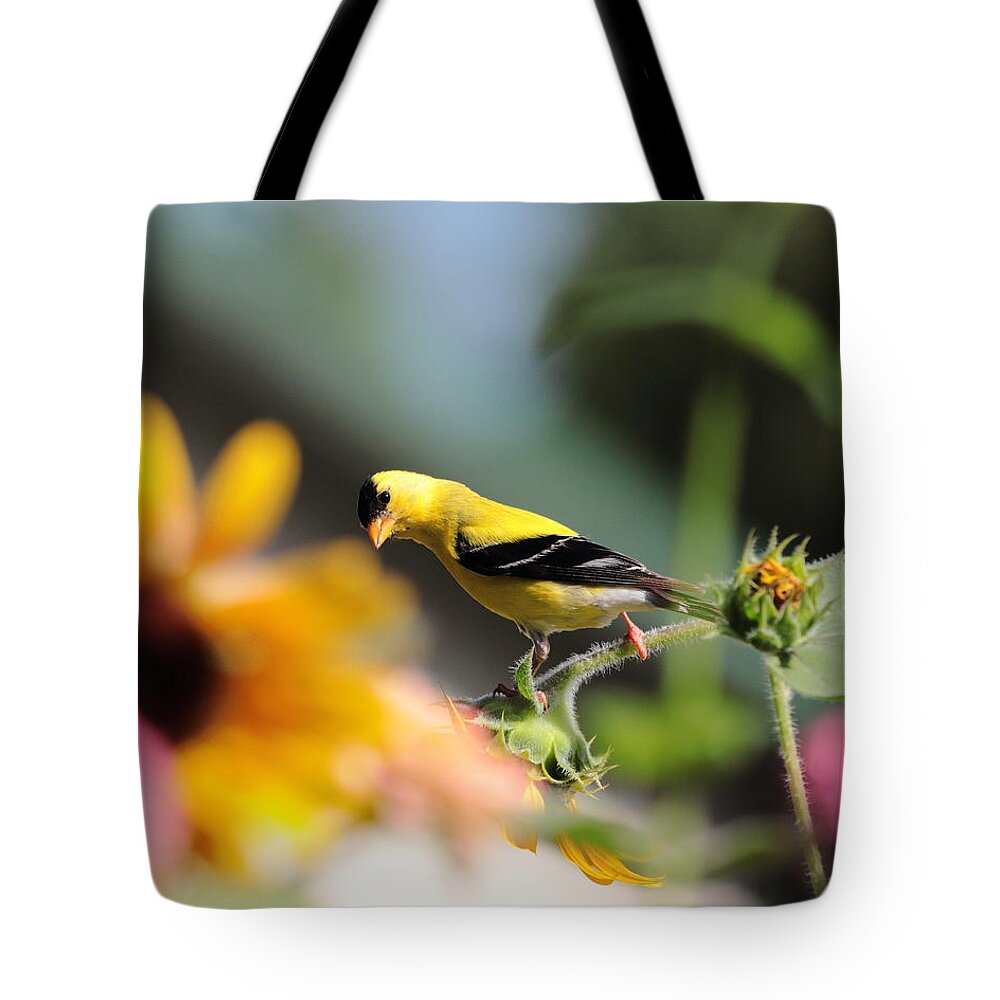 American Goldfinch Tote Bag featuring the photograph American Goldfinch by John Moyer