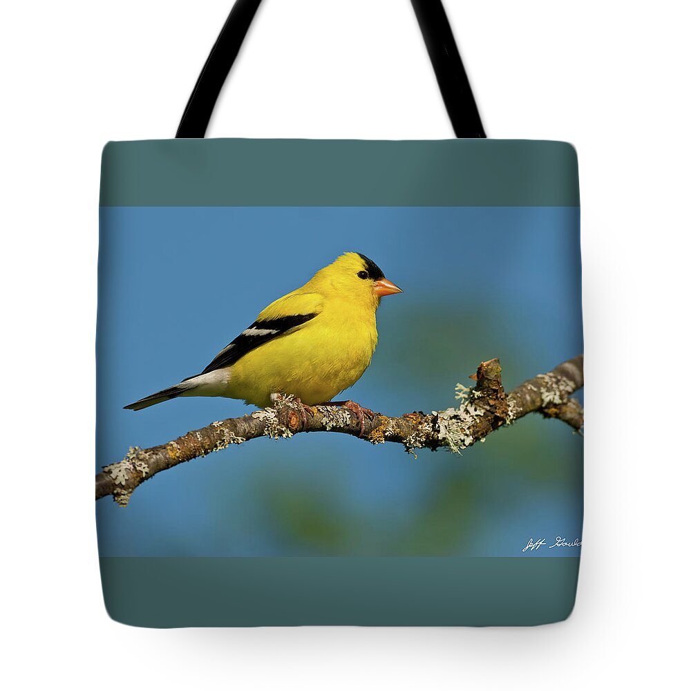American Goldfinch Tote Bag featuring the photograph American Goldfinch Perched in a Tree by Jeff Goulden
