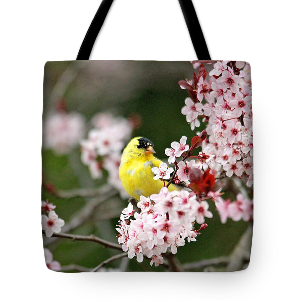 Finches Tote Bag featuring the photograph American Goldfinch by Trina Ansel