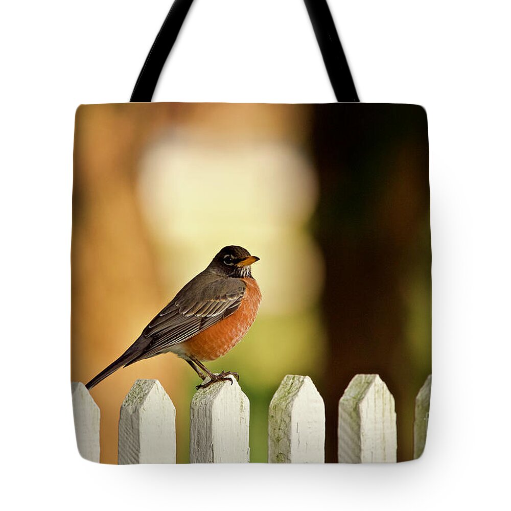 Robin Tote Bag featuring the photograph American Robin by Lara Morrison