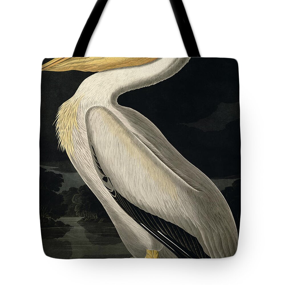 American White Pelican Tote Bag featuring the painting American White Pelican by John James Audubon