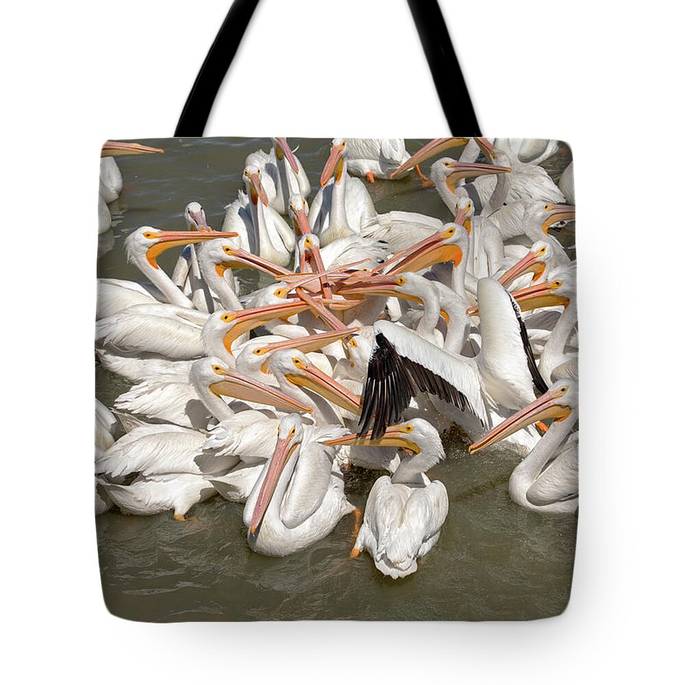 Pelicans Tote Bag featuring the photograph American White Pelicans by Eunice Gibb
