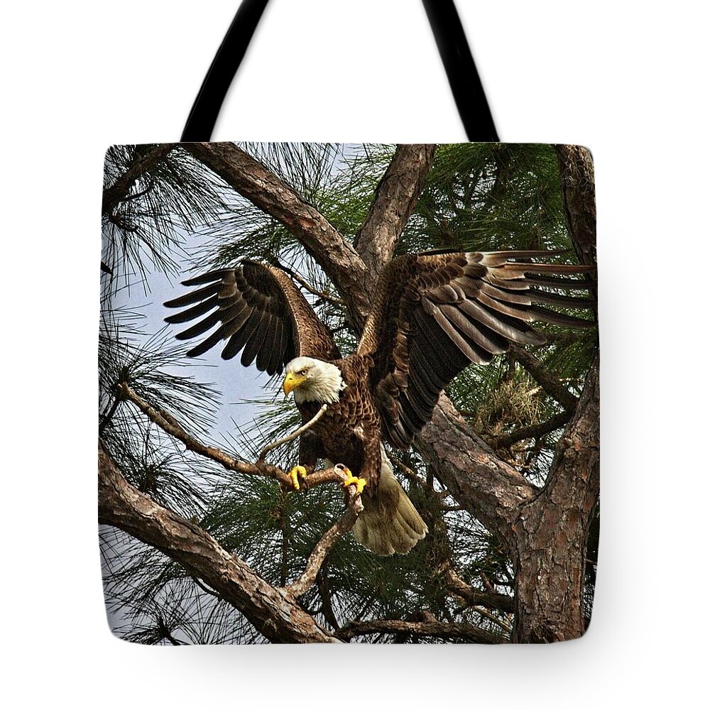 Adult Tote Bag featuring the photograph America's Bird by Ronald Lutz