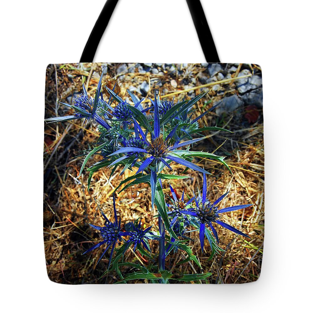 Sea Holly Tote Bag featuring the photograph Amethyst Sea Holly by Jasna Dragun