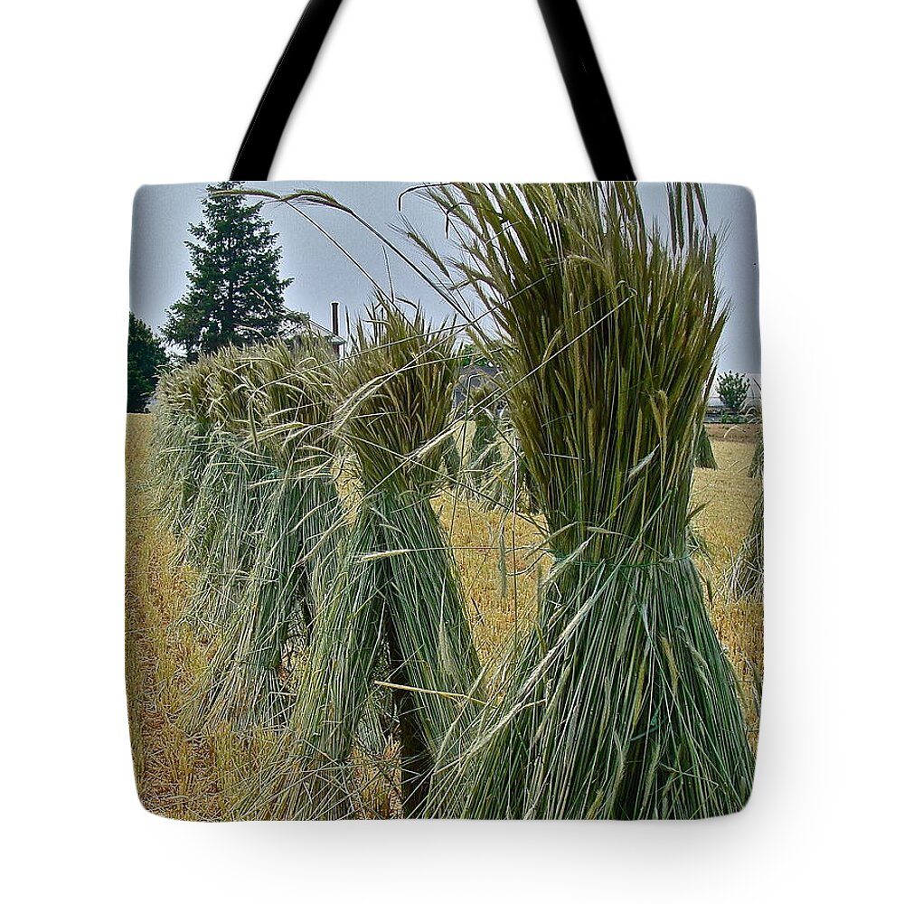 Harvest Tote Bag featuring the photograph Amish Harvest by Diana Hatcher