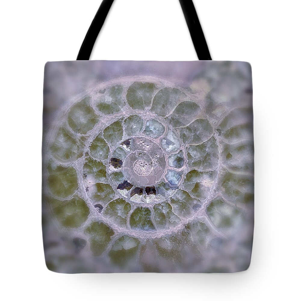 Lavender Wall Dcor Tote Bag featuring the photograph Ammonite Lavender and Blue by Gigi Ebert