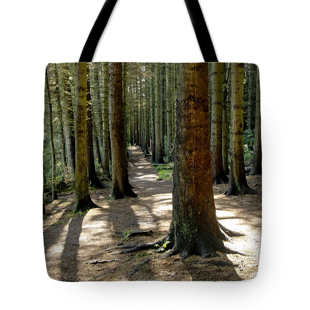 Beecraigs Tote Bag featuring the photograph Among forest trunks by Elena Perelman
