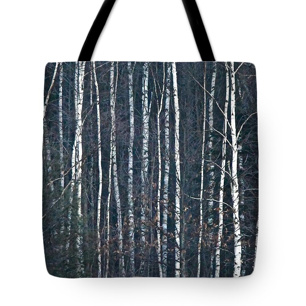 Deer Tote Bag featuring the photograph Among the Birch by Michael Peychich