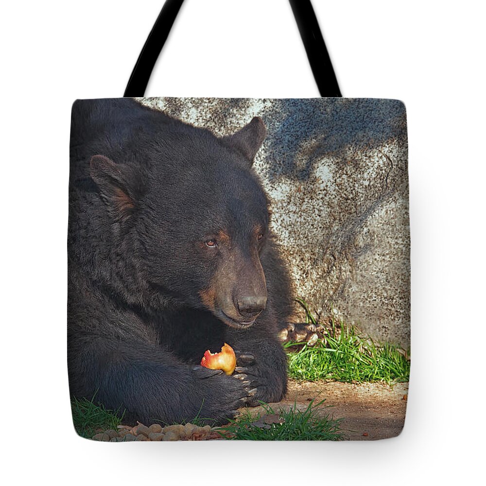 Animal Tote Bag featuring the photograph An Apple A Day by Brian Cross