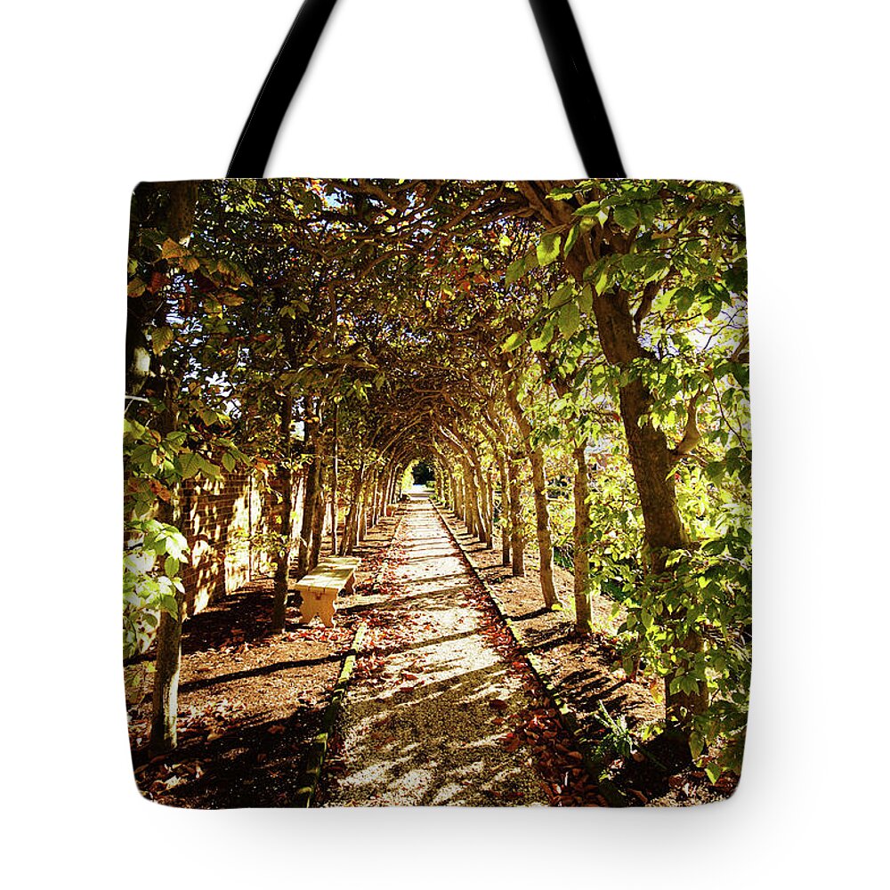 Trellis Tote Bag featuring the photograph An Arbor View by Rachel Morrison