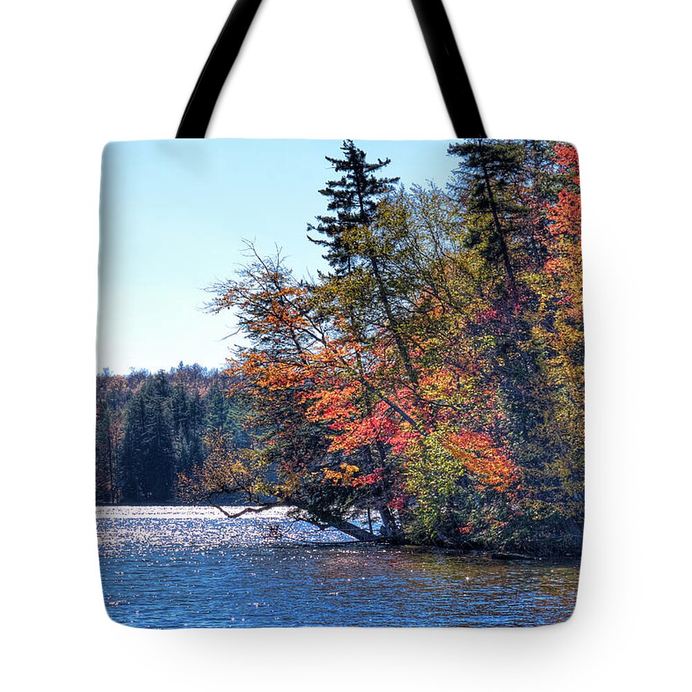 An Autumn Day On The Fulton Chain Tote Bag featuring the photograph An Autumn Day on the Fulton Chain by David Patterson