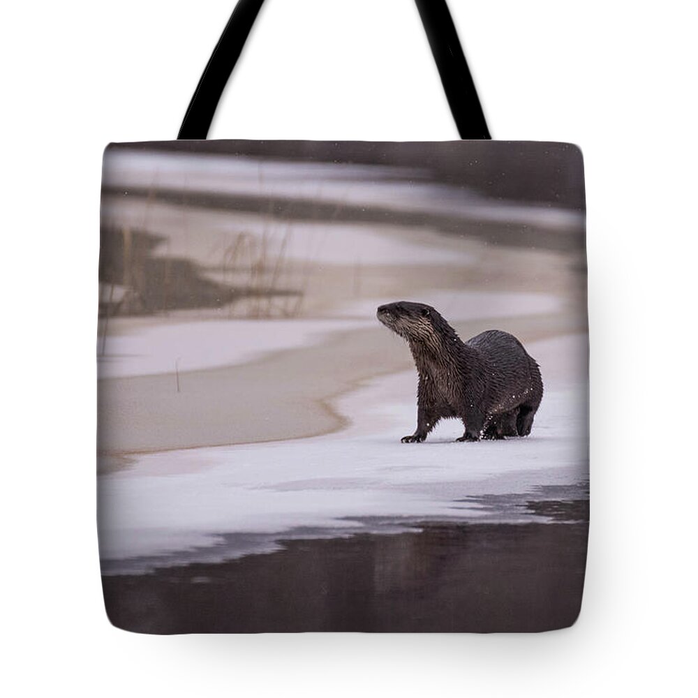 Otter Tote Bag featuring the photograph An Icy Playground by Jody Partin