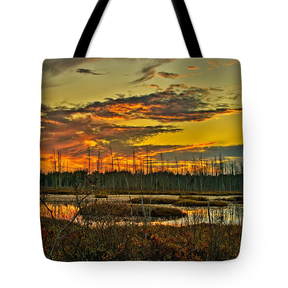 Fall Tote Bag featuring the photograph An November Sunset in the Pines by Louis Dallara