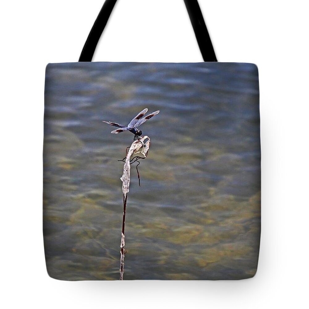 Dragonfly Tote Bag featuring the photograph An Opportune Moment by Michiale Schneider