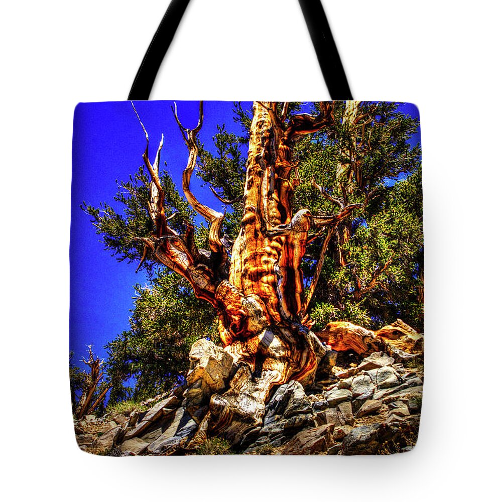 California Tote Bag featuring the photograph Ancient Bristlecone Pine Forest by Roger Passman
