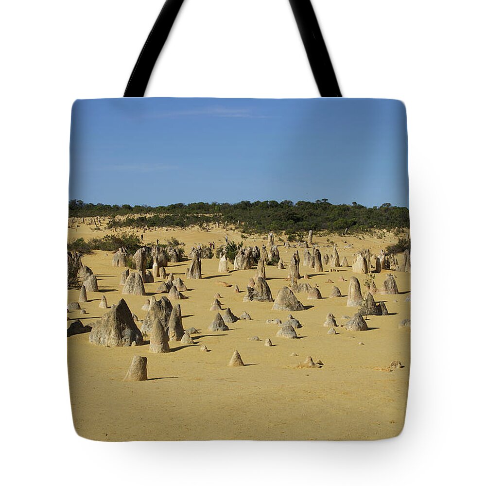 Landscapes Tote Bag featuring the photograph Ancient Forrest by Mark Egerton