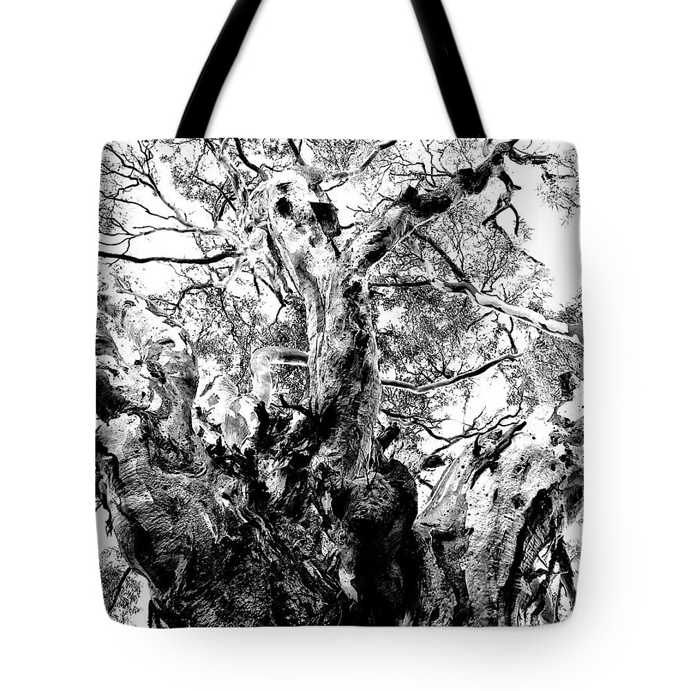 Australian Outback Tote Bag featuring the photograph Ancient Gum by Mark Egerton