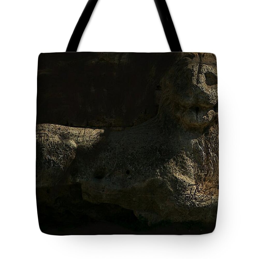 Sculpture Tote Bag featuring the photograph Ancient Lion - Nocisia by Jim Vance