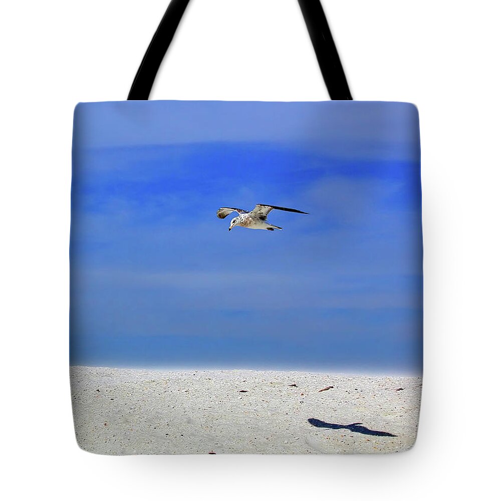 Seagull Tote Bag featuring the photograph Ancient Mariner by Marie Hicks