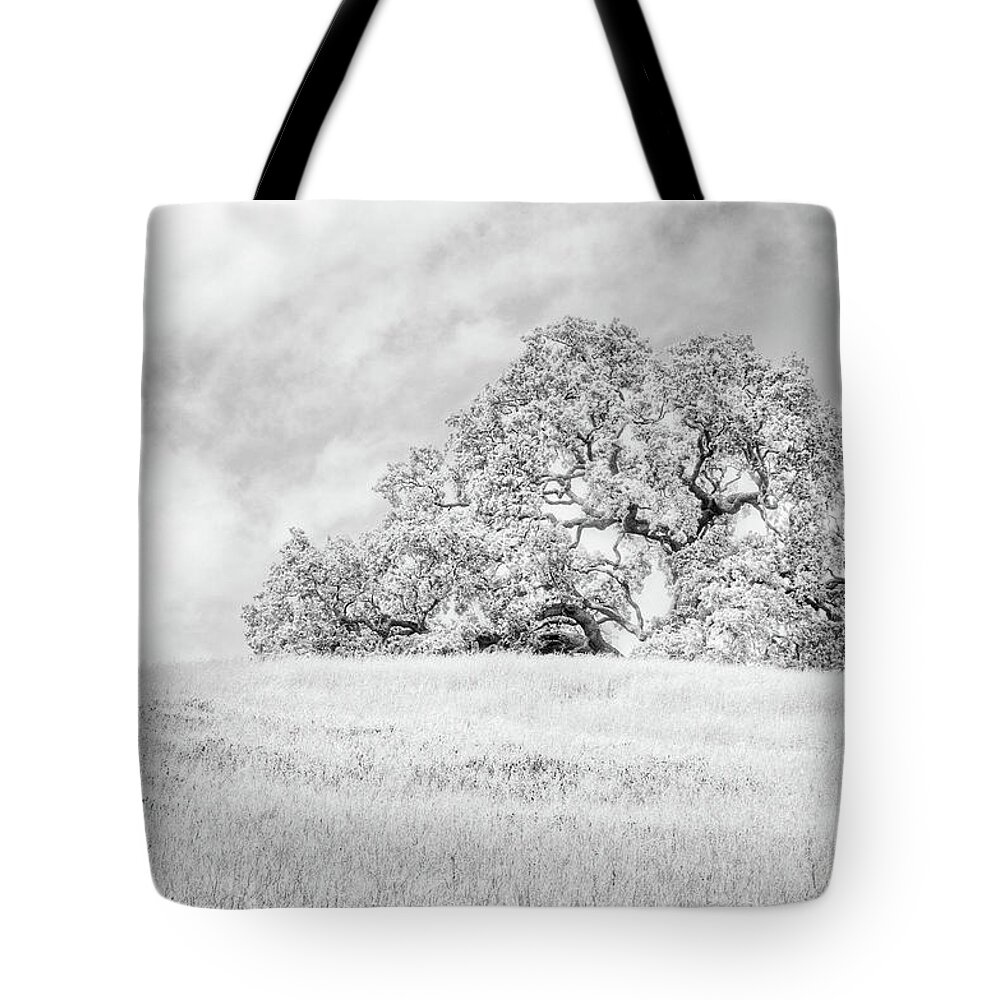 Clouds Tote Bag featuring the photograph Ancient Oak by Dean Birinyi