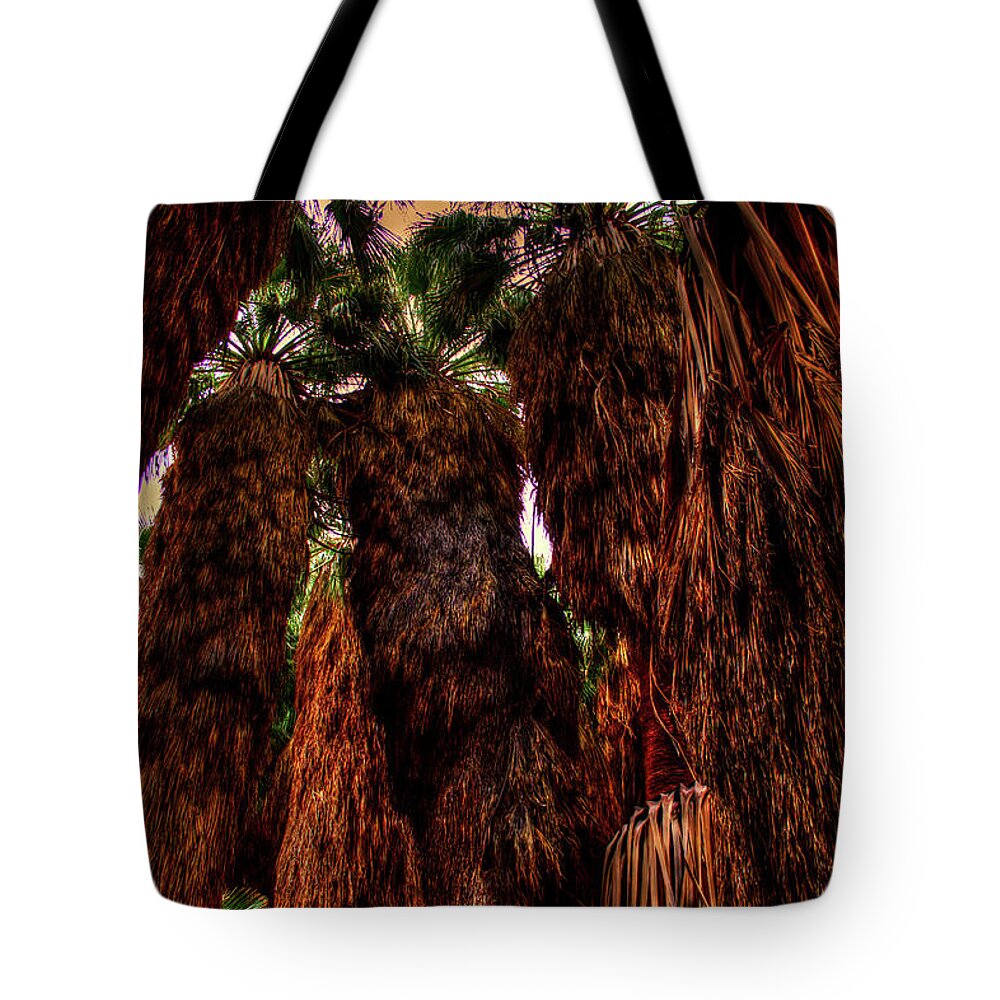California Tote Bag featuring the photograph Ancient Palms at Thousand Palms Preserve by Roger Passman