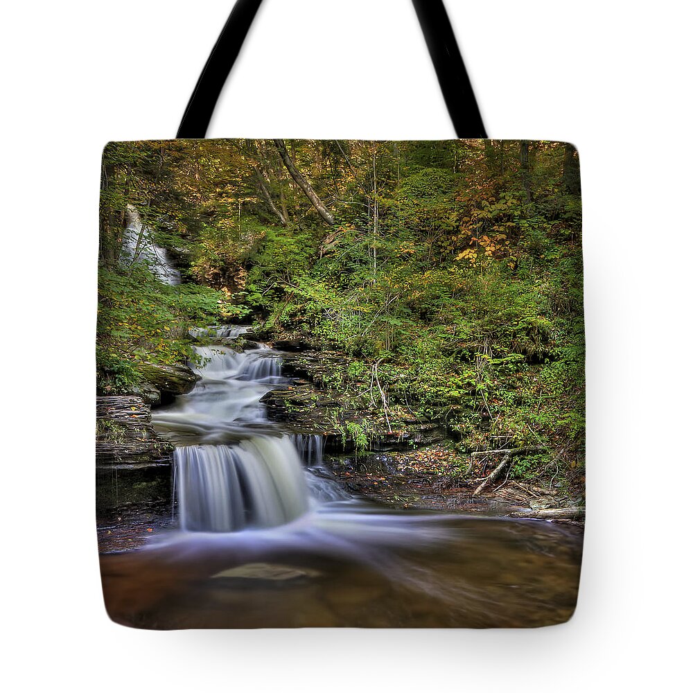 Fall Tote Bag featuring the photograph ...And Down It Goes... by Evelina Kremsdorf