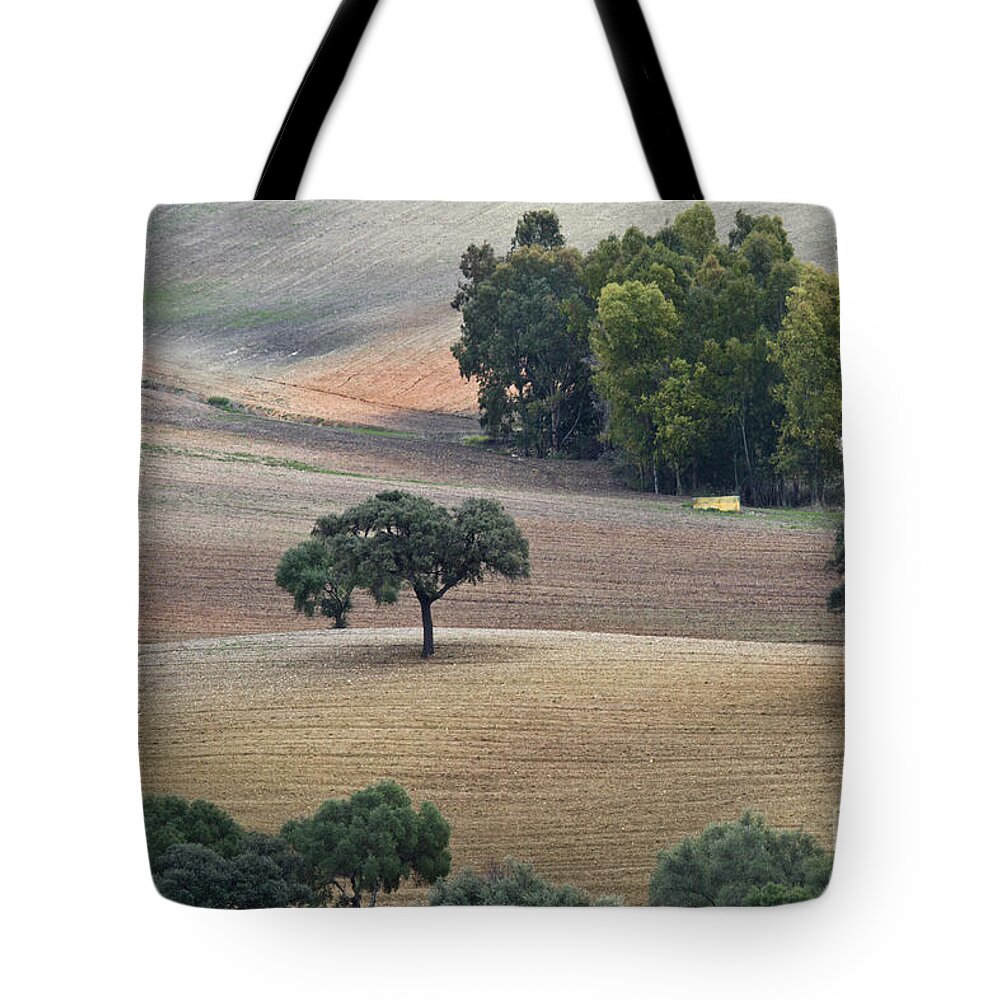 Landscape Tote Bag featuring the photograph Andalusian Meadows 1 by Heiko Koehrer-Wagner