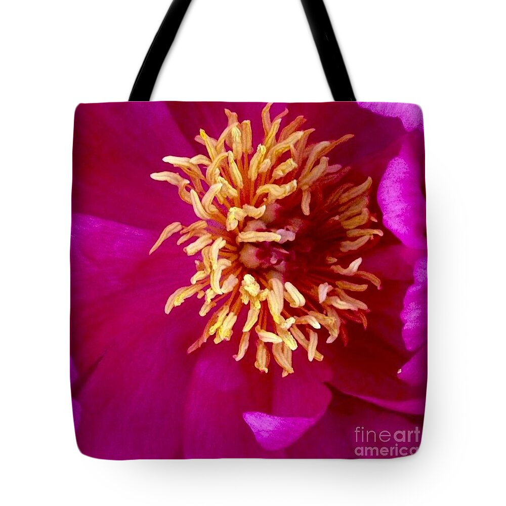 Beauty Tote Bag featuring the photograph Anemone by Denise Railey
