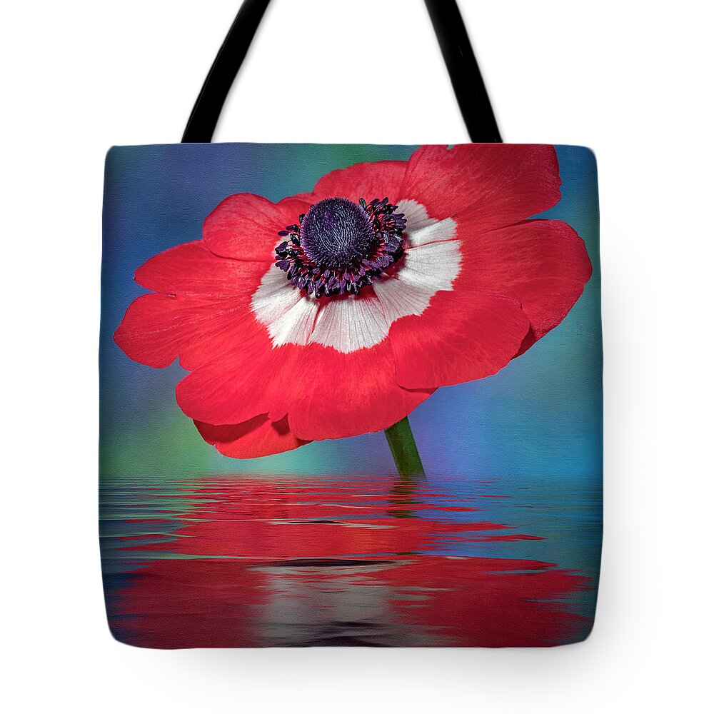 Anemone Flower Tote Bag featuring the photograph Anemone Flower by Susan Candelario