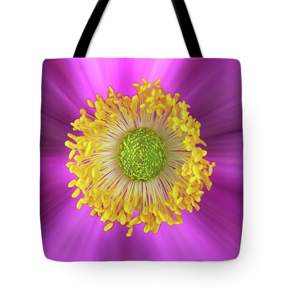 Beautiful Tote Bag featuring the photograph Anemone Hupehensis 'hadspen by John Edwards