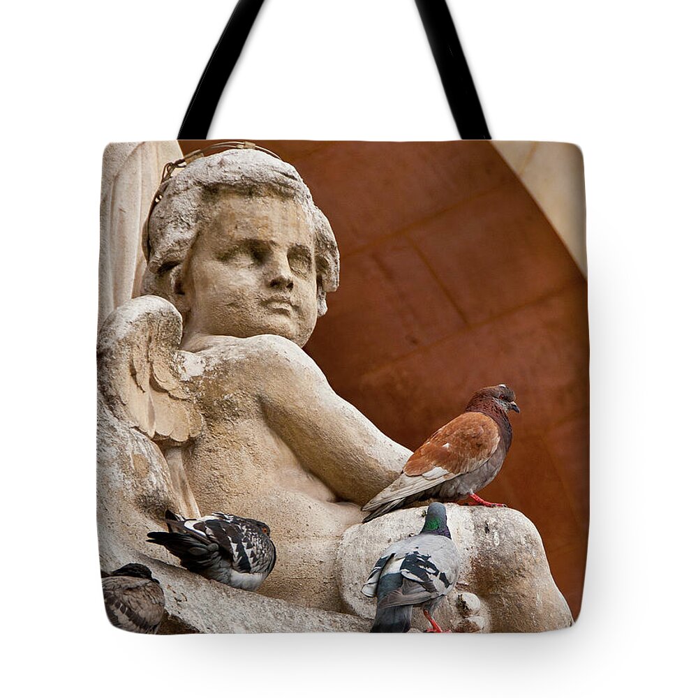 Angel Tote Bag featuring the photograph Angel and Birds by Harry Spitz
