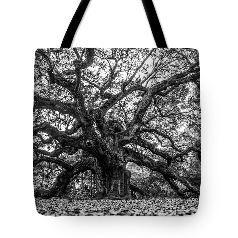 Charleston Tote Bag featuring the photograph Angel Oak Tree Black and White by John McGraw
